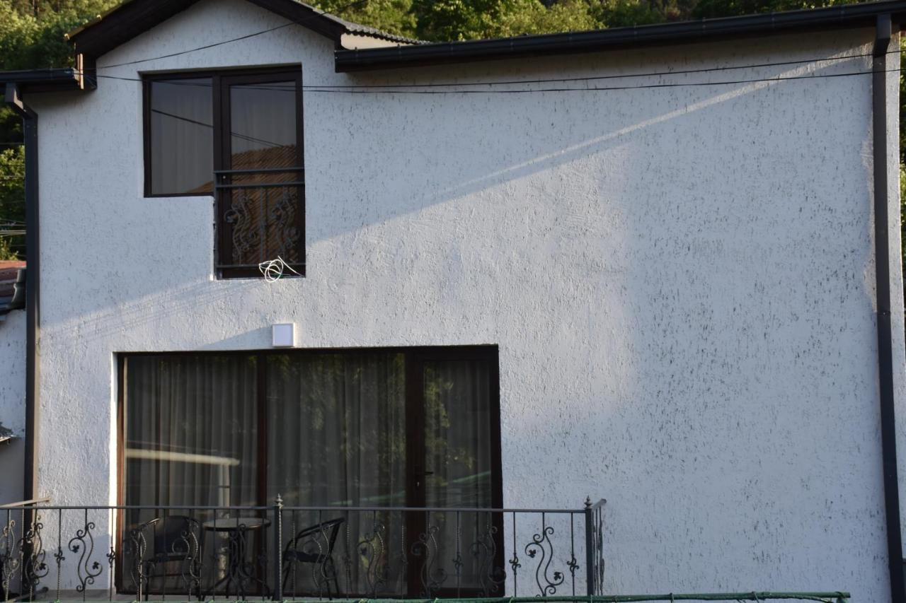 Eleana Villa Borjomi Exteriör bild